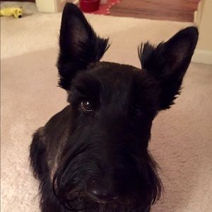 Meet your Posher, Adrienn