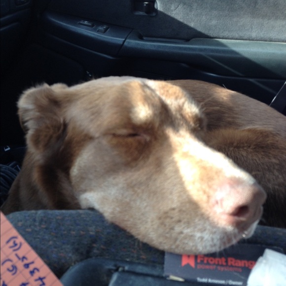 Meet your Posher, Taylor