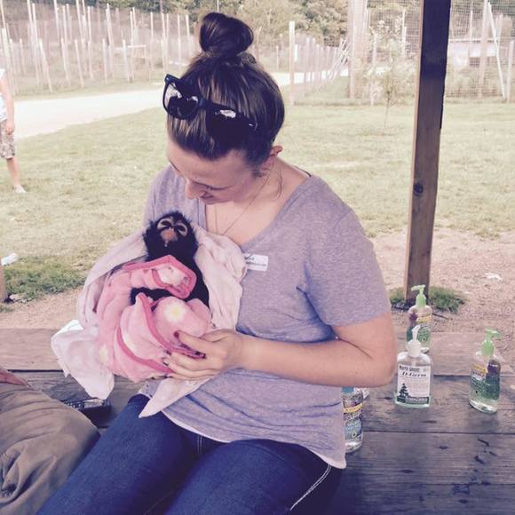 Meet your Posher, Taylor - Picture 1 of 1