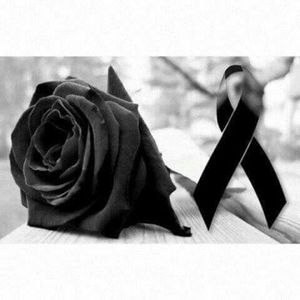 Meet your Posher, Jhonny