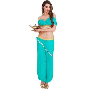 Sexy Princess Jasmine/genie costume