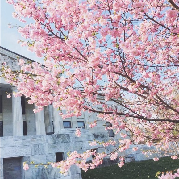 Meet your Posher, Em - Picture 1 of 1