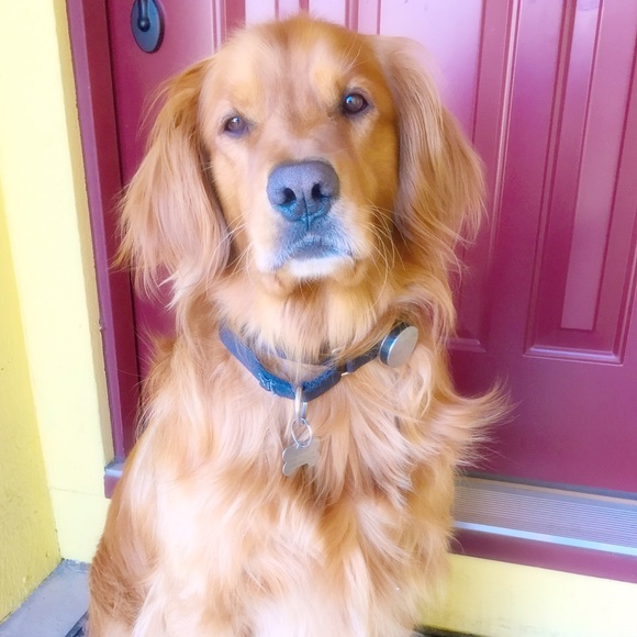 Meet your Posher, Noreen