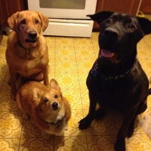 Meet your Posher, Kay