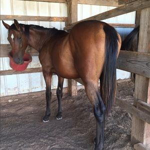 Meet your Posher, Cindy