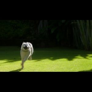 Meet your Posher, Kay