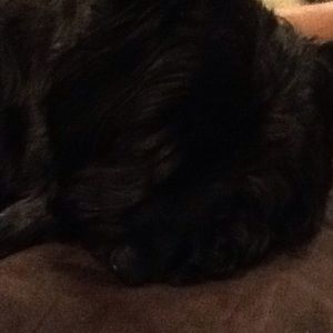 Meet your Posher, Tracy