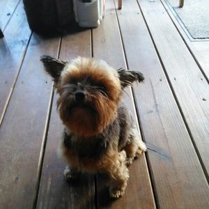 Meet your Posher, Stacy