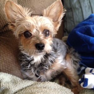 Meet your Posher, Lisa