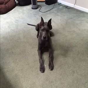 Meet your Posher, Kristina