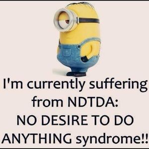 Meet your Posher, Evelyn