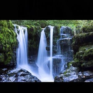 Meet your Posher, Isabel