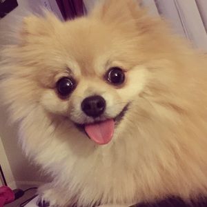 Meet your Posher, Daniel