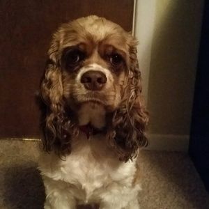 Meet your Posher, Alexandra