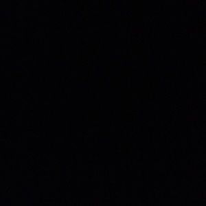 Meet your Posher, Daisy