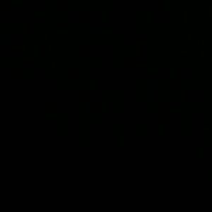 Meet your Posher, Dora