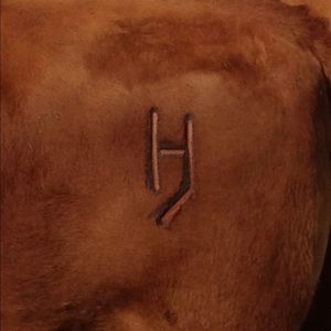 Meet your Posher, Mandy