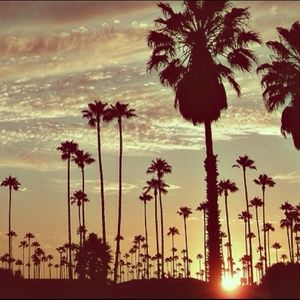 Meet your Posher, Isaiah