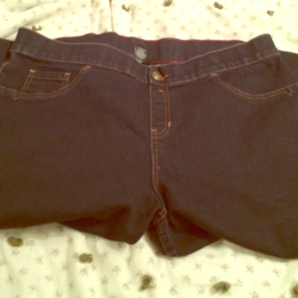 Lane Bryant Blue jeans