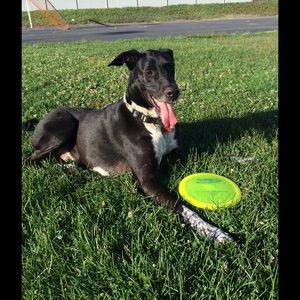 Meet your Posher, Alexandra