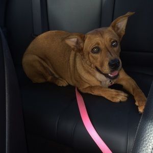 Meet your Posher, Cindy