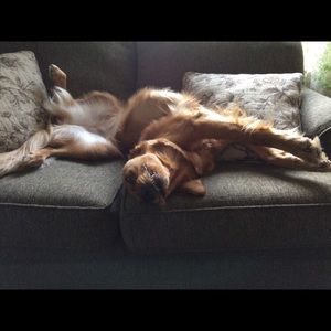 Meet your Posher, Nancy