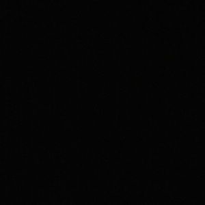 Meet your Posher, Bridget