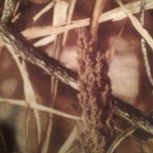 Meet your Posher, Heidi