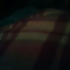 Meet your Posher, Lily