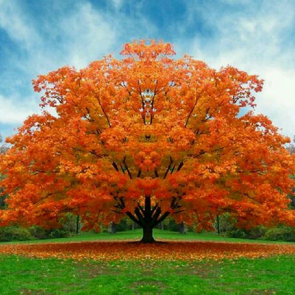 Meet your Posher, Sandra - Picture 2 of 2