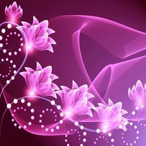 Meet your Posher, Kirsten