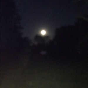 Meet your Posher, Beth