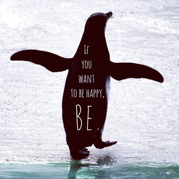 Hollister sweats&eagle v neck