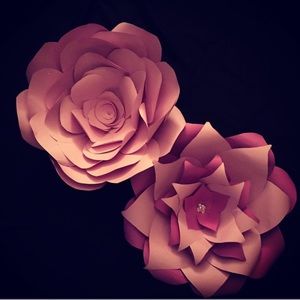 Meet your Posher, Nakia