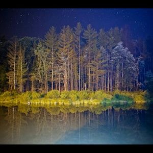 Meet your Posher, Cody