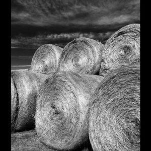 Meet your Posher, Katy