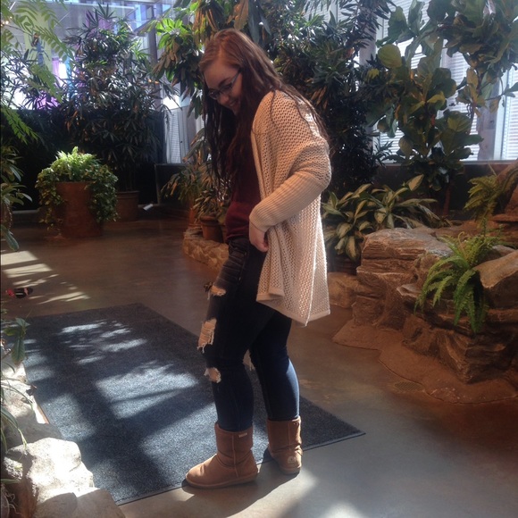 Meet your Posher, Cassidy - Picture 3 of 3