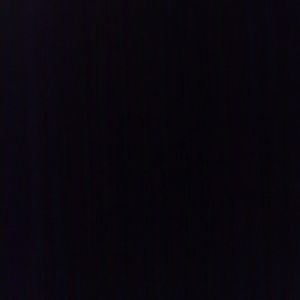 Meet your Posher, Anne