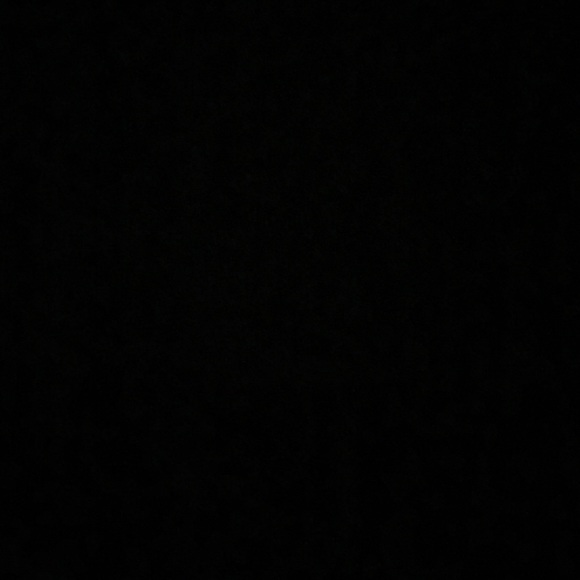 Meet your Posher, Bentley - Picture 1 of 1