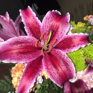 Meet your Posher, Courtney