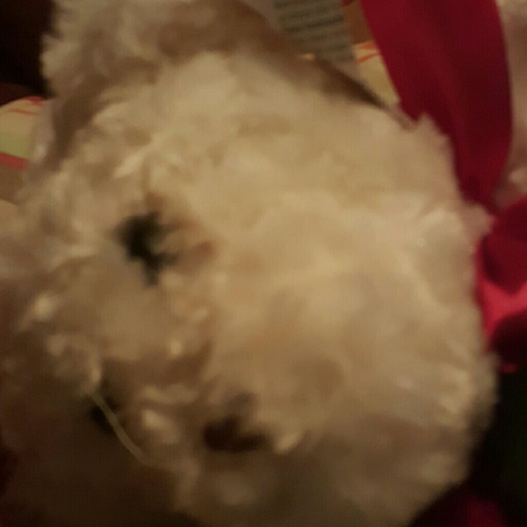 Meet your Posher, Whitley - Picture 1 of 1