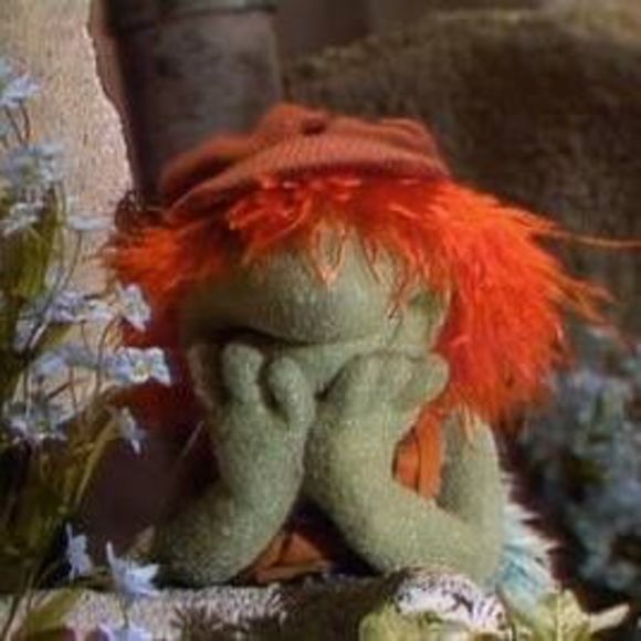 Meet your Posher, Cara - Picture 1 of 1