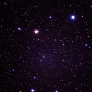 Meet your Posher, Sofia