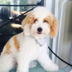 Meet your Posher, Kathy