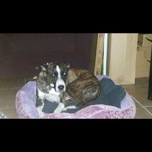 Meet your Posher, Roxanna