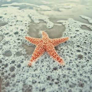 Meet your Posher, Vv