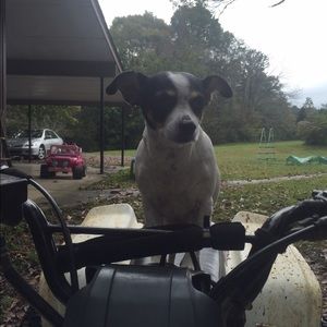 Meet your Posher, Clay