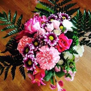 Meet your Posher, Cyndii