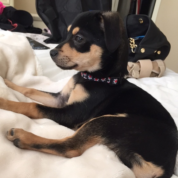 Meet your Posher, Tanya