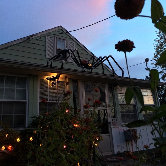 My Previous PA Home w/Hand-Crafted PVC Roof Arachnid! - Picture 1 of 4